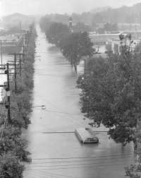 A view of a tree-lined Cameron Street taken from the State Street Bridge looking north toward Herr Street. Flood waters nearly cover the commercial bus in the foreground.